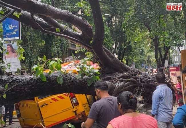 Chembur Bus Accident : चेंबूरमध्ये मोठी दुर्घटना; स्कूल बसवर झाड कोसळले