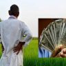 Farmers Loan Waiver Maharashtra : महाराष्ट्र शेतकरी कर्जमाफीला मंत्रिमंडळाची मंजुरी; ५६ लाख शेतकऱ्यांना दिलासा, पण 'या' पदाधिकाऱ्यांना मिळणार नाही लाभ
