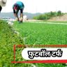 Big Opportunity: फुटबॉल टर्फ उभारणीचा खर्च, तांत्रिक निकष आणि नियोजनाचा मास्टर प्लॅन