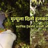 Ambenali Ghat: २०० फूट दरीत कोसळलेल्या तरुणाला मिळाली 'नवसंजीवनी'; स्थानिक ट्रेकर्सचे धाडसी ऑपरेशन!