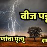 Monsoon havoc in Jharkhand : वीज पडून ८ जणांचा मृत्यू, क्रिकेट सामन्यादरम्यान एकाचा दुर्दैवी अंत
