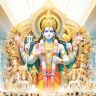 न-नागरिकत्व