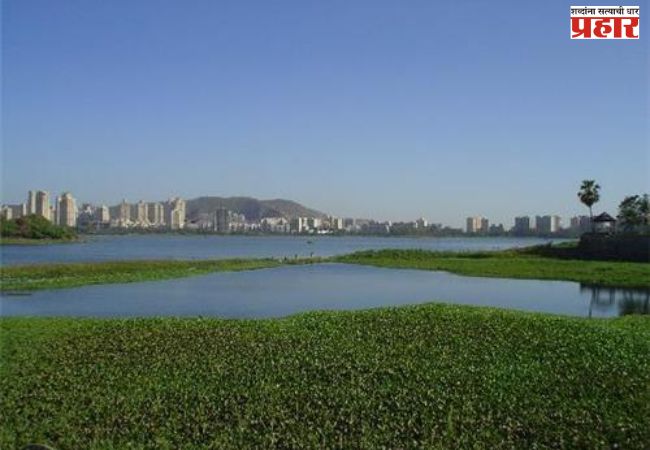 Water hyacinth : पवई तलावातील जलपर्णी आता कायमची हद्दपार..