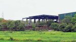 Kanjurmarg Dumping Ground : कांजूरमार्ग डम्पिंग ग्राऊंडवर साडेतीन हजार झाडांची लागवड