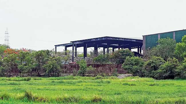 Kanjurmarg Dumping Ground : कांजूरमार्ग डम्पिंग ग्राऊंडवर साडेतीन हजार झाडांची लागवड