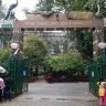 MLA Amit Satam: हत्तीच्या पिंजऱ्याच्या जागेवर बिबट्या, रेड पांडा, हुलॉक गिबन आणि बिंटुरोंग