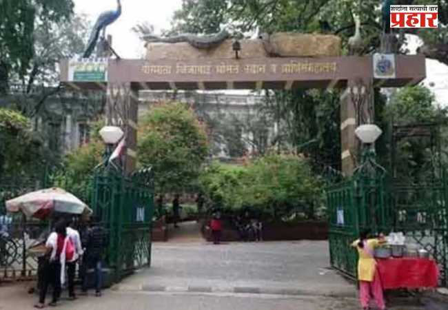 MLA Amit Satam: हत्तीच्या पिंजऱ्याच्या जागेवर बिबट्या, रेड पांडा, हुलॉक गिबन आणि बिंटुरोंग