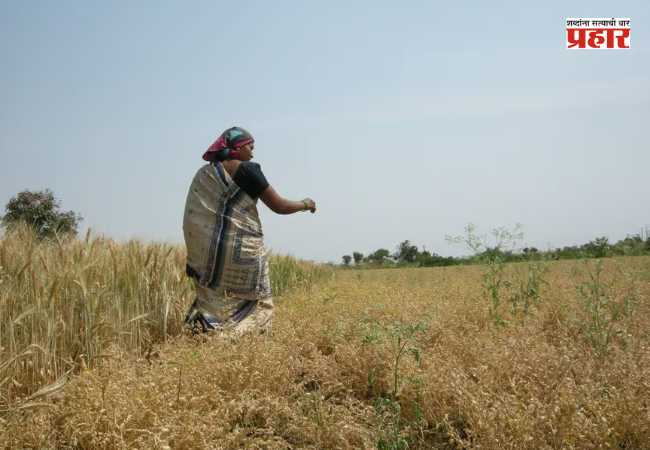 Rajmata Jijau Women’s Empowerment Scheme : फडणवीस सरकारचा मोठा निर्णय! आत्महत्याग्रस्त शेतकऱ्यांच्या विधवांना मिळणार केवळ १ रुपयात जमीन