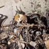  E-Bike Fire : चार्जिंगला लावलेली इलेक्ट्रिक स्कूटर ठरली तिघांच्या मृत्यूचे कारण