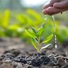 World Environment Day 2026 :  कांजूरमार्ग डम्पिंग ग्राउंड  येथे होणार १६ हजार वृक्षांची लागवड