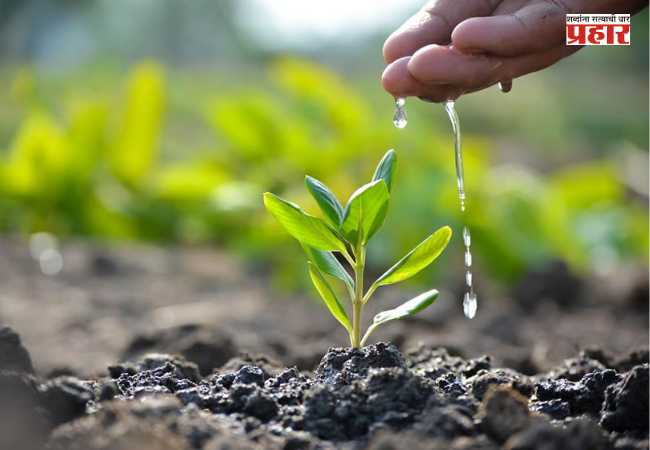 World Environment Day 2026 :  कांजूरमार्ग डम्पिंग ग्राउंड  येथे होणार १६ हजार वृक्षांची लागवड