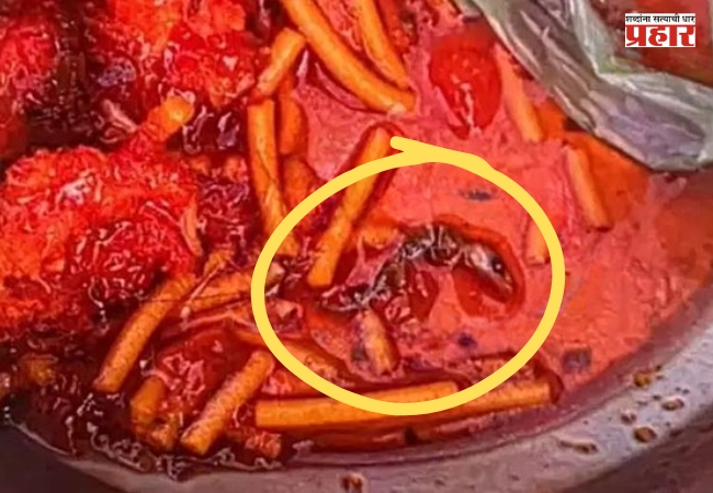 Ulhasnagar Lizard In Manchurian : उल्हासनगरात धक्कादायक प्रकार! मंचुरियनमध्ये पालीचे पिल्लू