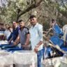 Illegal Liquor News : दारू माफियांना पोलिसांचा दणका! वसईत १६ लाखांहून अधिक किमतीचा मुद्देमाल नष्ट