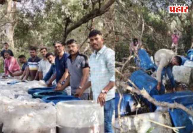 Illegal Liquor News : दारू माफियांना पोलिसांचा दणका! वसईत १६ लाखांहून अधिक किमतीचा मुद्देमाल नष्ट