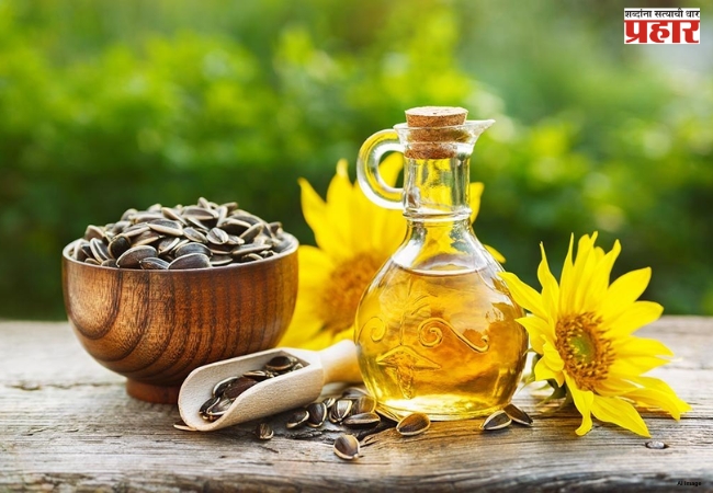 Rules For Edible Oil:  खाद्यतेल विक्रीचे नियम बदलणार! केंद्राचा मोठा निर्णय, आता फक्त ९ पॅक साइजमध्येच मिळणार तेल