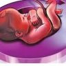 Pune Crime : पुण्यात गर्भलिंग निदान रॅकेटचा भंडाफोड; चिनी ॲपच्या माध्यमातून सुरू होता काळा धंदा