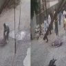 Palghar Crime : पालघरमध्ये भररस्त्यात तरुणीवर कोयत्याने जीवघेणा हल्ला; CCTV व्हायरल, प्रकृती चिंताजनक