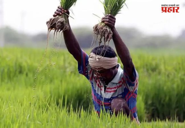 Maharashtra Farmers : जुलैच्या दुसऱ्या आठवड्यापासून शेतकऱ्यांना कर्जमुक्तीचा लाभ