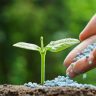 fertilizers stock : खरीप २०२६ हंगामासाठी देशात खतांचा पुरेसा साठा
