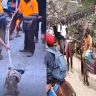 kedarnath yatra animal cruelty : भक्तीच्या नावाखाली क्रूरतेचा कळस! केदारनाथमध्ये मृत घोड्याला फरफटत नेले आणि...हृदयद्रावक व्हिडीओ व्हायरल