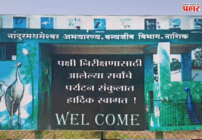 Nashik News : नांदूर मध्यमेश्वरमध्ये 6,215 पक्ष्यांची नोंद