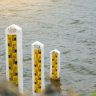 Dam Water Levels : रायगड जिल्ह्यातील धरणांच्या पाणीसाठ्यात वाढ