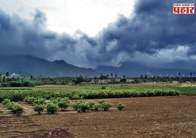 Weather Update : जुलै नंतर पाऊस येणार ? अरबी समुद्रातले मान्सूनचे ढग गायब