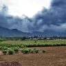 Weather Update : जुलै नंतर पाऊस येणार ? अरबी समुद्रातले मान्सूनचे ढग गायब