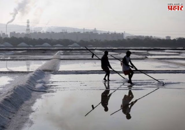 मिठागरांवर बांधकामे, पर्यावरणावर आपत्ती