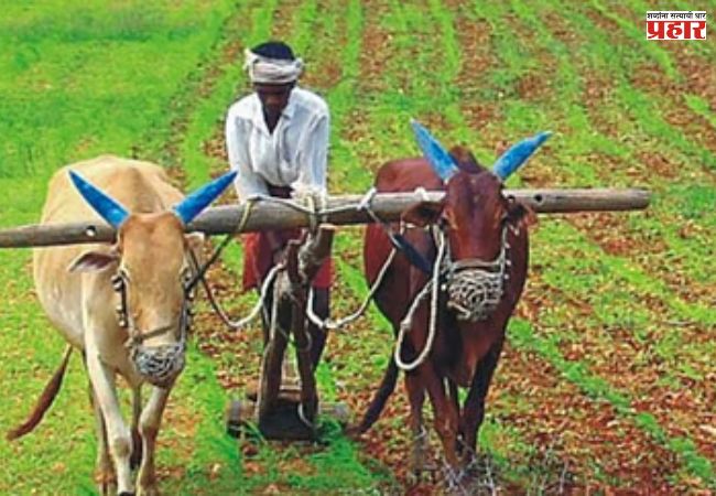 सामूहिक शेती गरजेची
