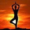 Yoga Day : आंतरराष्ट्रीय योग दिनासाठी देश सज्ज, २३ राज्यांतील १०० वारसा स्थळांवर सामूहिक योगाभ्यास