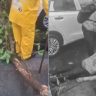 Andheri Tree Fall : मुंबईत आणखी एक दुर्घटना! अंधेरीत फांदी कोसळून पादचारी गंभीर जखमी