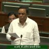 Ashish Shelar : रिफायनरी किंवा अणुऊर्जा प्रकल्प कातळशिल्पांच्या आड येणार नाहीत!