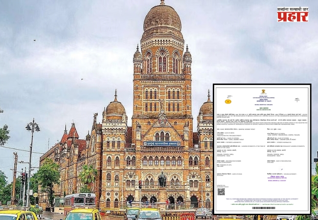Birth Certificate : जन्म दाखल्याच्या प्रमाणपत्र वितरण प्रक्रियेचे नियमित होणार लेखापरिक्षण