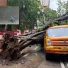 Mumbai heavy rain : मुंबईत अवघ्या सहा दिवसांत १० जणांचा मृत्यू; पाऊस, झाडे कोसळणे आणि घर दुर्घटनांनी वाढवली चिंता