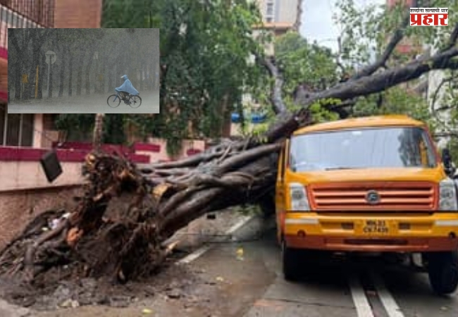 Mumbai heavy rain : मुंबईत अवघ्या सहा दिवसांत १० जणांचा मृत्यू; पाऊस, झाडे कोसळणे आणि घर दुर्घटनांनी वाढवली चिंता