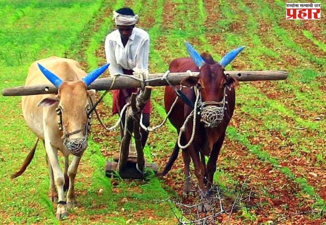 शेतीविषयक अभ्यास दौरे