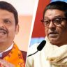 Raj thackeray : वेडंवाकडं वागणाऱ्यांना फडणवीस जबर शासन करतात हे दाखवून द्या!