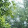 Monsoon Update : यंदाच्या पावसाळ्यात 1 जूनपासून राज्यात सरासरी 332 मिमी पाऊस