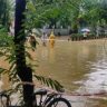 Mumbai Rain Update : मुंबईसह राज्यात पावसाचा कहर; अनेक भाग जलमय, धरणांमधील पाणीसाठ्यात वाढ