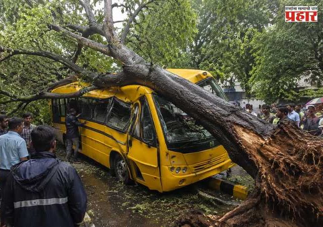 Chembur Tree Collapse : झाड दुघर्टनाप्रकरणी संबंधित निष्काळजीपणा करणाऱ्या तीन अधिकाऱ्यांचे निलंबन