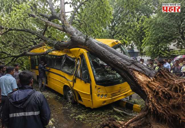 Chembur Tree Collapse : झाड दुघर्टनाप्रकरणी संबंधित निष्काळजीपणा करणाऱ्या तीन अधिकाऱ्यांचे निलंबन