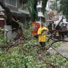 Chembur Tree Collapse : चेंबूर झाड दुर्घटनेची त्रयस्थ एकसदस्यीय समितीमार्फत होणार सखोल चौकशी