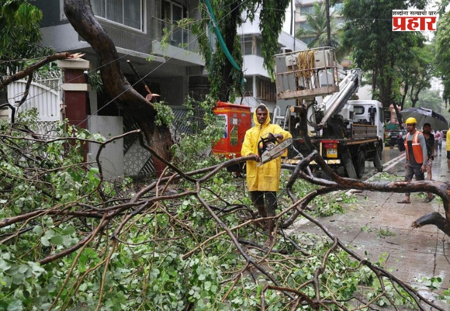 Chembur Tree Collapse : चेंबूर झाड दुर्घटनेची त्रयस्थ एकसदस्यीय समितीमार्फत होणार सखोल चौकशी