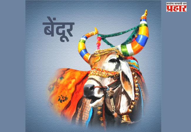BENDUR FESTIVAL : सर्जा-राजाप्रती कृतज्ञतेचा उत्सव; महाराष्ट्रातील पारंपरिक ‘बेंदूर’ सणाची परंपरा आणि महत्त्व