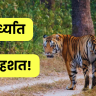 Panic in Wardha : वर्ध्यात दहशत! १० गावांत हाय अलर्ट जारी; वनविभाग ॲक्शन मोडमध्ये