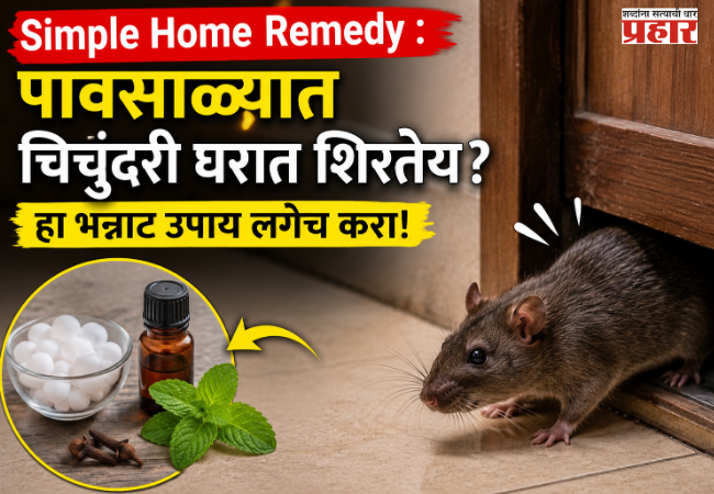 Troubled by a house shrew infestation during the monsoon? Drive them out in just 5 minutes with this simple home remedy!
