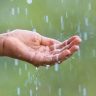 Monsoon Update : राज्यात मान्सूनचे जोरदार पुनरागमन, पुढील आठवड्यापासून पावसाचा जोर वाढणार; शेतकऱ्यांना दिलासा