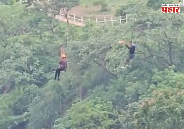 Zipline Rescue : तोरणमाळच्या झिपलाइनवर थरार! ३,५०० फूट खोल दरीवर पर्यटक अडकला, अखेर सुखरूप सुटका