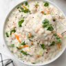 Healthy Food Oats Curd Rice : ओट्स दही भात, एक चविष्ट आणि आरोग्याला लाभदायी पदार्थ